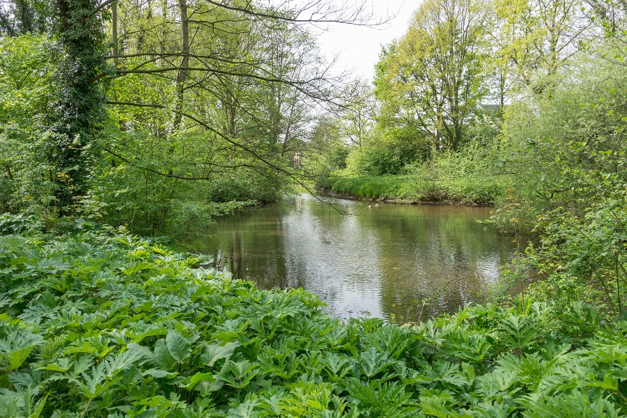 Stadsbegrazing Venlo