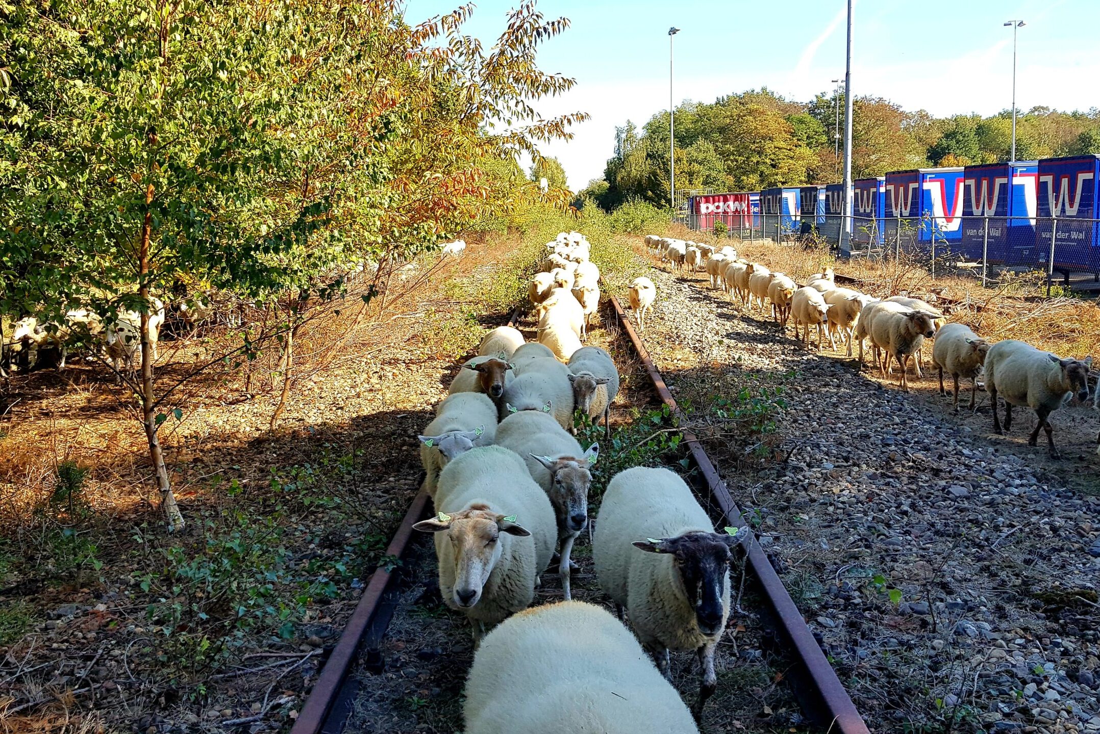 IJzeren Rijn