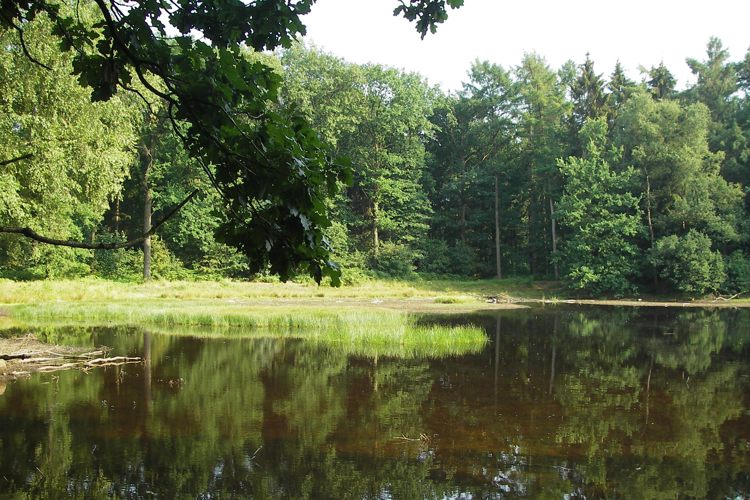 Schapenbegrazing 10 Kamerven e1601475588744 Kamerven
