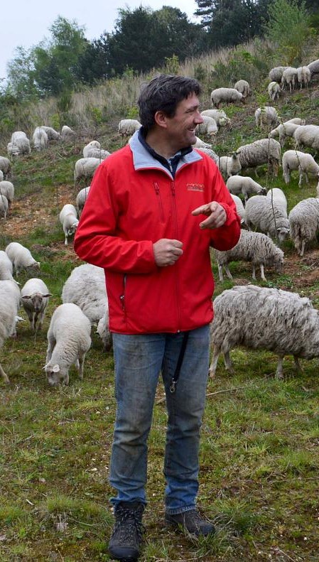 foto Sjraar 2017 schapenbeagrazing